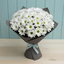 Букет цветов из:  Хризантемы в Парфино