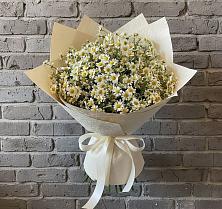 Букет цветов из:  Ромашки #REPLACE_PRED# Парфино